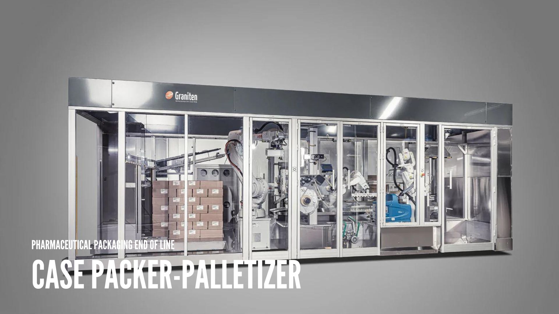 Case packer palletizer
